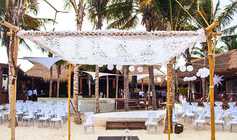 Blue Parrot Weddings